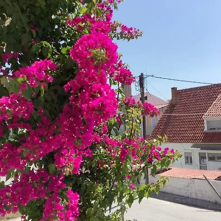 Vasia'S Cosy Sea Home At Alykes Volos Exterior photo