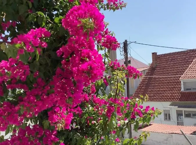 Vasia\'S Cosy Sea Home At Alykes Volos